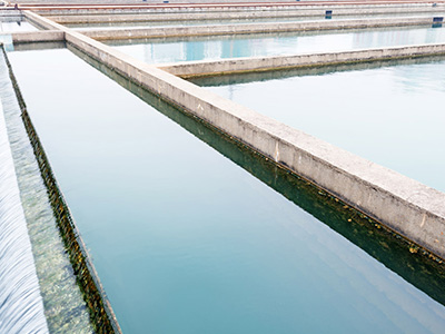 城市黑臭水體治理一般采用什么技術